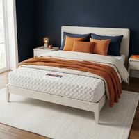 Visco Therapy 25cm Deep Bliss Support Foam Mattress for Enhanced Comfort and Durability White White Single 1