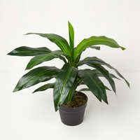Homescapes Artificial Dracaena Fragrans Dragon Tree in Pot, 65 cm Tall - Green