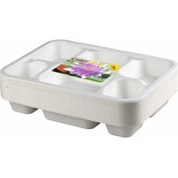 Biodegradable Recyclable Plate 6 Compartment 25Pcs for Indoor Outdoor - White