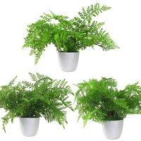 Pack of 3 x Artificial Ferns - Southern Wood - Lady and Royal - Potted - Green