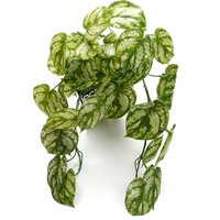 Artificial Trailing Light Green Plant - Green