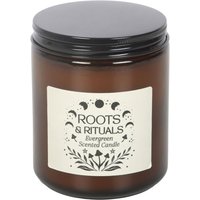 Roots Rituals Evergreen Amber Glass Candle Forest Scent Burn - Green
