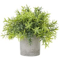 Wyld Haus Small Artificial Bamboo in Grey Concrete-Effect Pot - Green