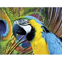 Multicoloured Macaw 500 Piece Jigsaw Puzzle - Neutral