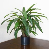 Variegated Artificial Calathea Plant - Artificial Calathea Plant Variegated / 60cm