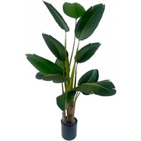 UV Resistant Traveller Banana Palm Tree - UV Traveller Banana Palm / 70cm