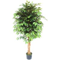 Leaf Artificial Ficus Tree Plant - 150cm Ficus Tree / 70cm