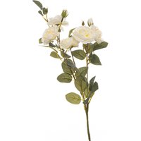 Soft White Cottage Rose Stem - Green