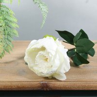 Single Arundel Garden Peony 57cm - Ivory