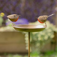 Robin Bird Bath Feeder Stake - Brown
