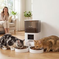 PawHut 6L Automatic Cat Feeder with HD Camera for 2 Cats - White