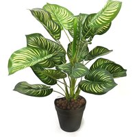 Artificial Variegated Queen of Hearts Plant in Black Pot - Green