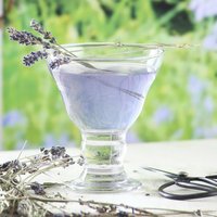 Orion Glass Ice Cream Bowls - 255ml - Pack of 12 - Clear