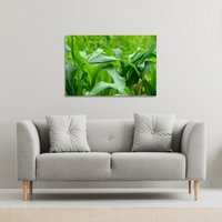 Green Leaves corn fields as background Canvas Print - Green / 101cm / 127cm