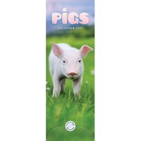 2025 Pigs Slim Calendar - Multicolour