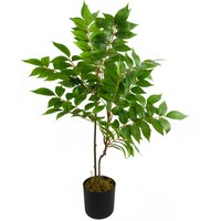 Artificial Toona Sinensis Plant Evergreen - Toona Siensis