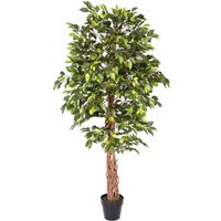 Green Artificial Ficus Tree with Twisted Real Wood Trunk, 6 Ft - Green