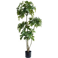 XL Luxury Artificial Trees by Leaf UK - 150cm Radermachera Tree / 70cm / 150cm