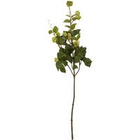 Fiori Green Hop Flower Spray Stem