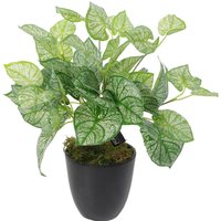 Realistic Artificial Caladium Plant with pot - Araceae Caladium