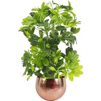 Artificial Arboricola Gold Capella Plant - Green With Copper Planter / 65cm
