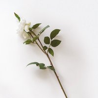 Artificial Single Ruffled Rose Flower Stem L55cm - White