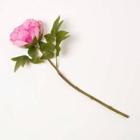Artificial Stem of Dried Pink Peony Flowers, 48 cm - Dark Pink