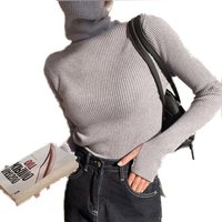Women's Slim Turtleneck Jumper - Grey / 160-170cm
