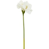Fiori Ivory Amarylilis Flower Stem - White
