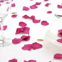 Silk Rose Petal Table Confetti - Hot Pink