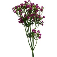 Gypsophila Artificial Flowers Stem - gypsophila Pink