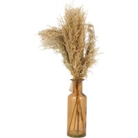 Pampas in Amber Vase Arrangement - Neutral