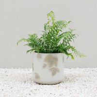 Natural Stone Effect Round Patio Planter in Embossed Leaf Pattern - Grey / 23l