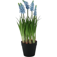 Artificial Muscari Potted Plant 25cm - Blue