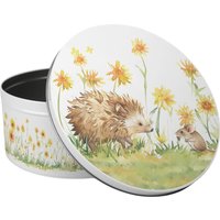 Hedgehog & Mouse Large Cake Tin - Multicoloured