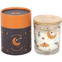 Autumn Magic Scented Spiced Vanilla Jar Candle - 28 Hour Burn Time