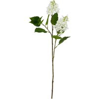 The Natural Garden Collection Lilac - Artificial Flower (Single Stem) - Plastic - L30 x W30 x H75 cm - White