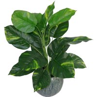 Leaf Design Realistic Large Devil Ivy Artificial Plant - Devils Ivy