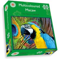 Multicoloured Macaw 1000 Piece Jigsaw Puzzle - Neutral