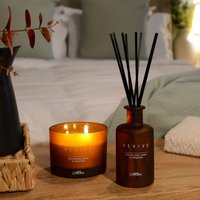 Revive Reed Diffuser - Orange