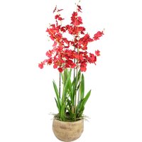 Oncidium Artificial Orchid Red in Stoneware Planter - Red
