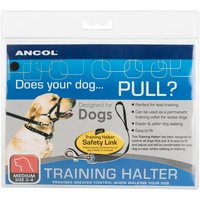 Ancol Dog Training Halter - 35 - 45 cm