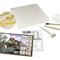 Buki France, Buki France Dino Dig Activity Set Buki France, Buki France Dino Dig Activity Set
