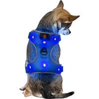 Ultra LED Light Up Dog Harness For Night Time Safety and Walks - Small Blue