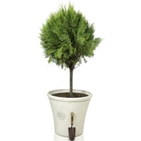 Cream Round Stone and Resin Composite Planter - Cream