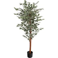 Leaf Artificial Ficus Tree Plant - 160cm Ficus Variegated / 80cm
