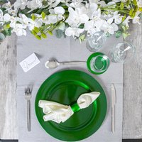 Metallic Melamine Charger Plates - Green / 6