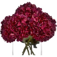 Autumn Ruby Hydrangea Delicate Fall Blossom - Red