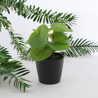 Mini Artificial Potted House Plant - Pilea / Polyester, Plastic / Pilea