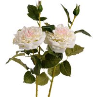Elegant Accent White Garden Rose Spray - White